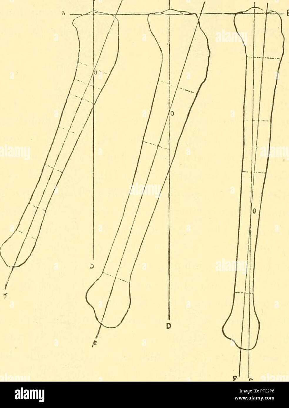 Get Charakter mehrzahl For Android Charakter Mehrzahl