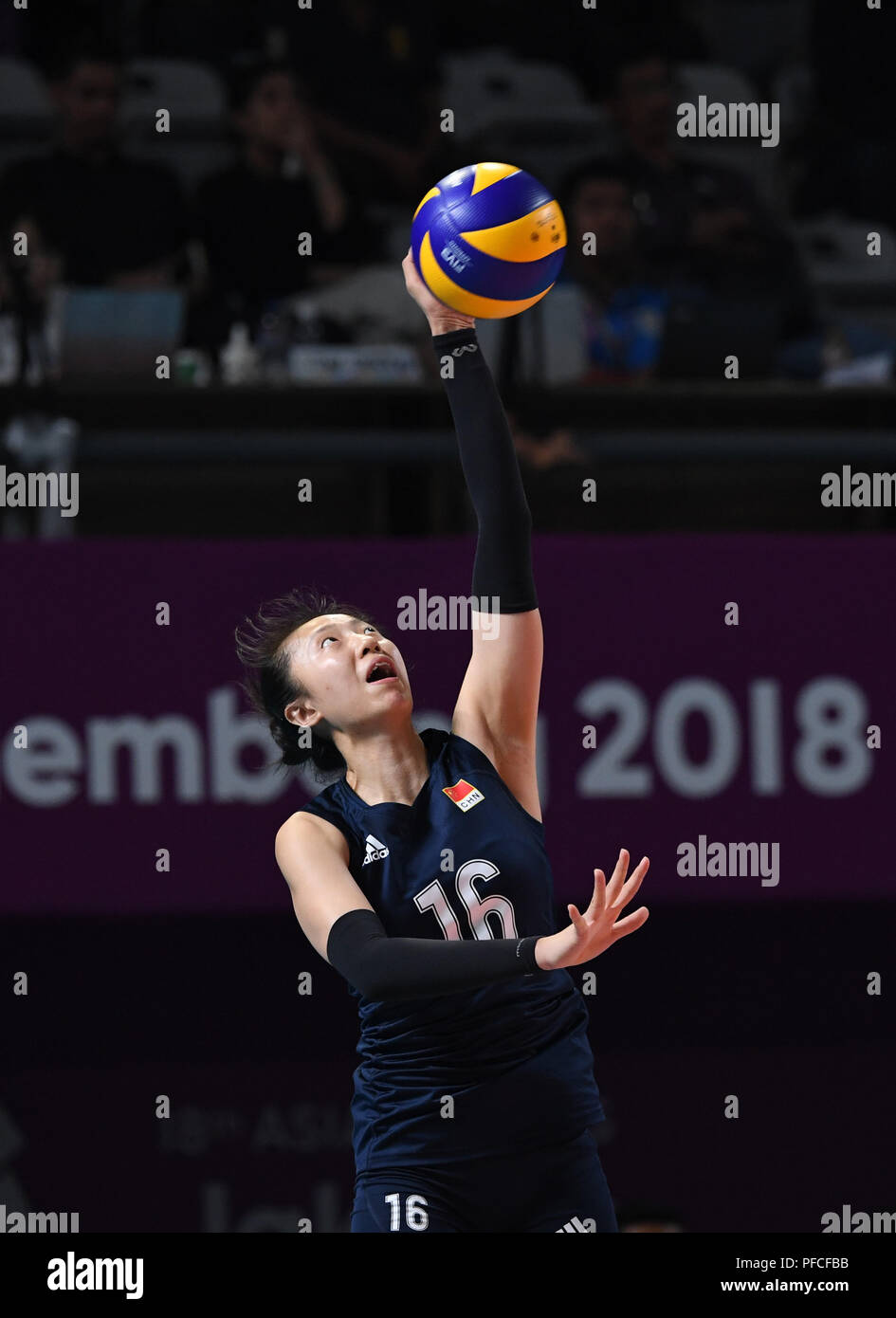 Jakarta, Indonesien. 21 Aug, 2018. Ding Xia China konkurriert, während Frauen Volleyball Pool B Match zwischen China und Taiwan Am 18. asiatischen Spiele in Jakarta, Indonesien, Nov. 21, 2018. Credit: Du Yu/Xinhua/Alamy leben Nachrichten Stockfoto