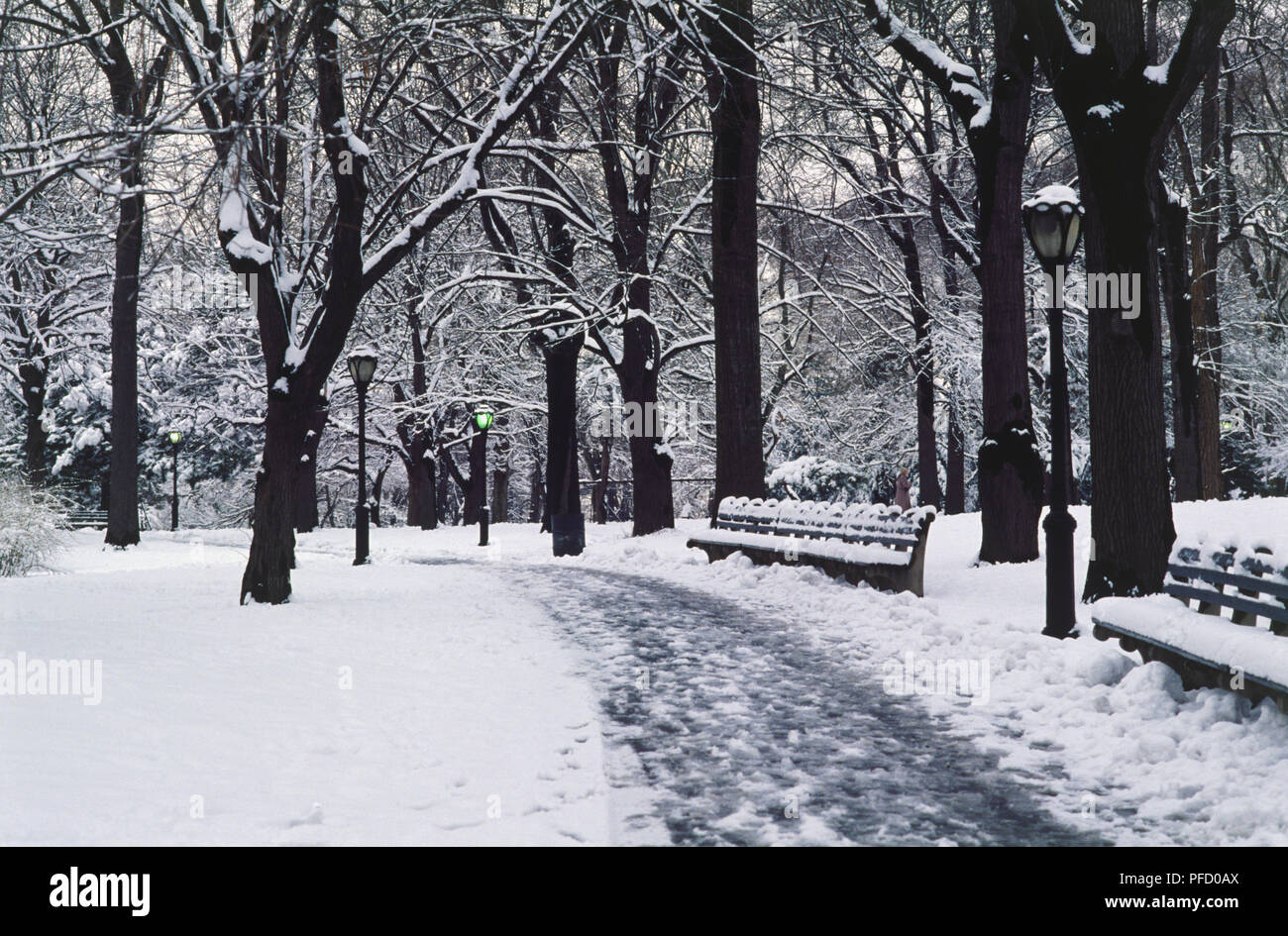 USA, New York City, Central Park, gelöscht Wanderweg mit Bänken und Bäumen durch ein schneebedecktes Park führenden gesäumt. Stockfoto