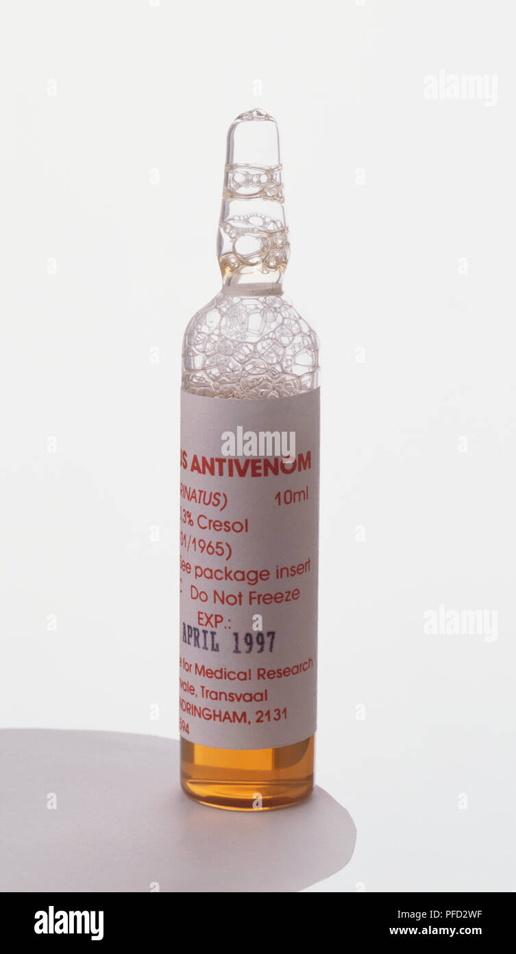 Ampulle mit antivenin Serum, orange Flüssigkeit mit Schaum oben. Stockfoto