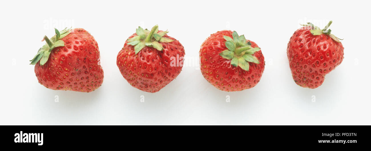 Vier reife Erdbeeren Stockfoto