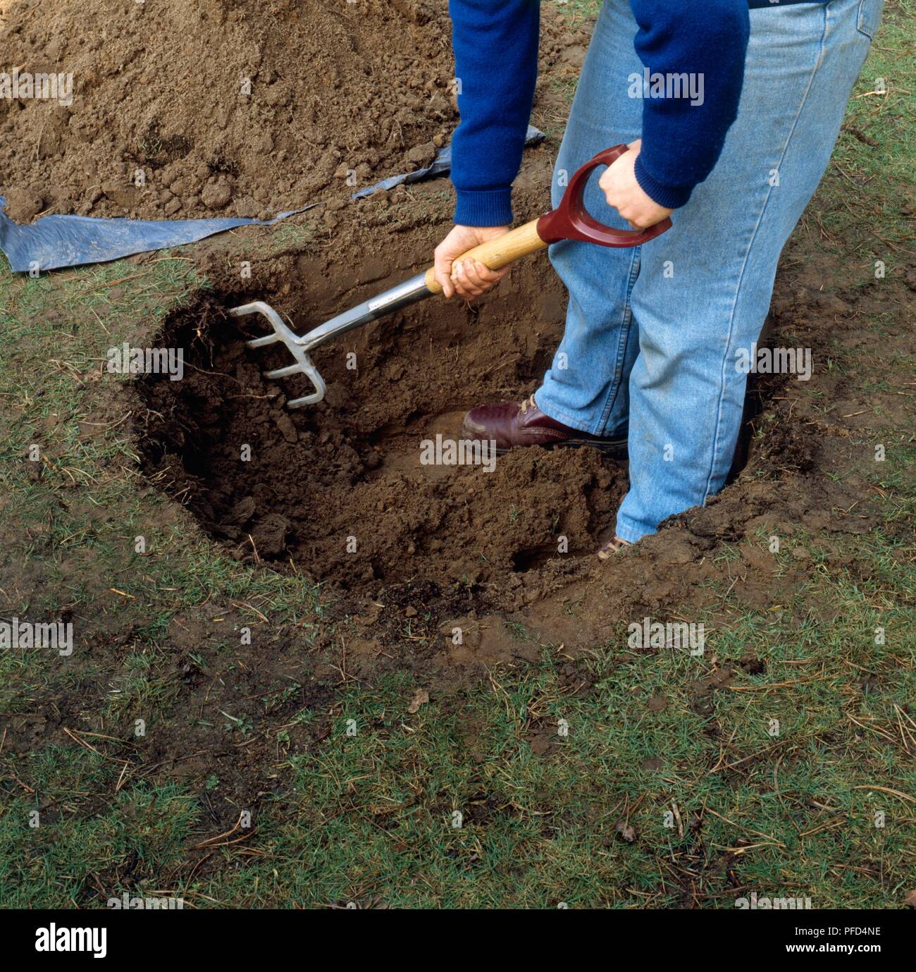 Mit Garten Gabel Innenwand des Lochs im Boden zu Vertikutieren Stockfoto