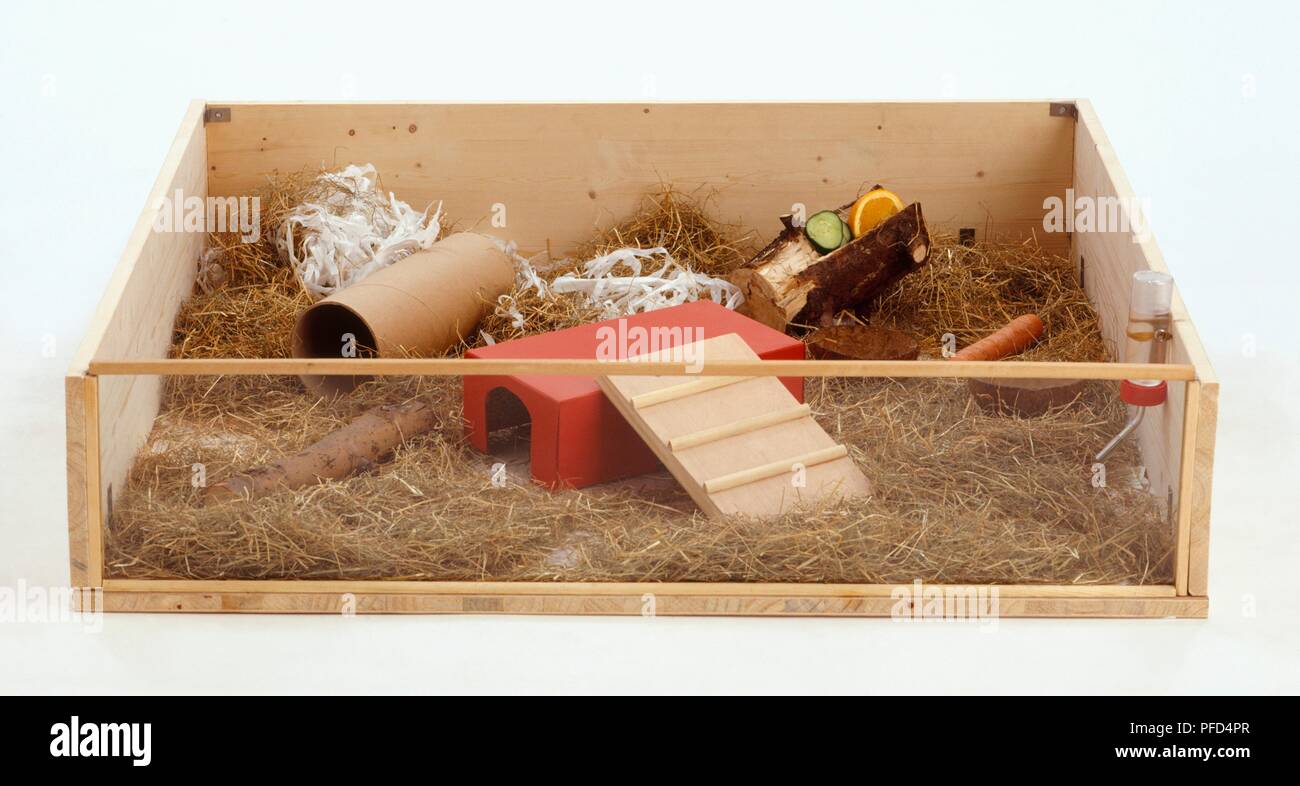 Holzkiste mit einem Tierheim, Spielzeug, Futter und Stroh für ein Meerschweinchen Stockfoto