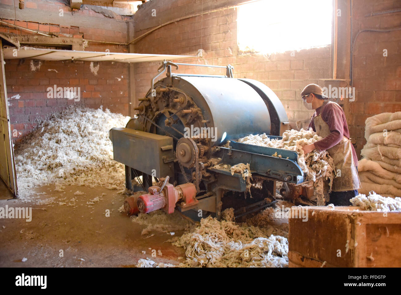 Ein Arbeiter Prozesse Schafwolle für die Verwendung in hat bei der sombreros Sucre Fabrik in Sucre, Bolivien, Stockfoto