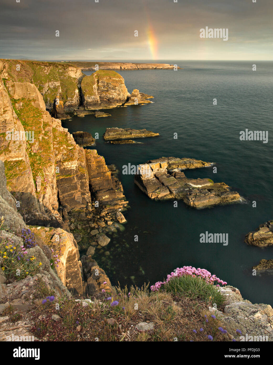 Regenbogen über South Stack Klippen an der Küste von Anglesey, Nordwales Stockfoto