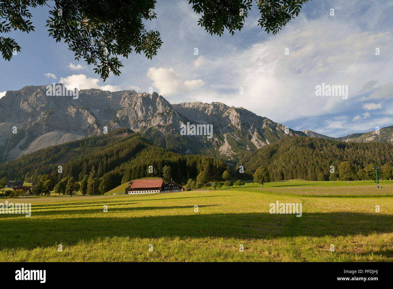Berge und Felder in der Ramsau, Österreich im Sommer Stockfoto