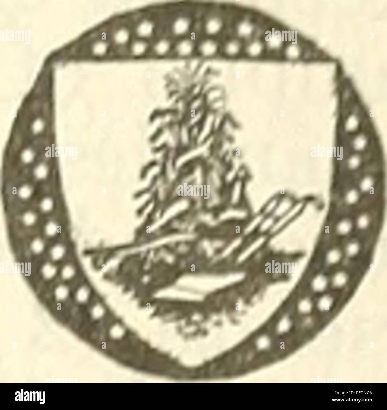 . Abteilung Bulletin. Landwirtschaft Die Landwirtschaft. Washington, DC? Juni 9,1923 chemischen, physikalischen UND INSEKTIZIDEN EIGENSCHAFTEN VON ARSENICALS. Durch F. C. Kochen, physiologische Chemiker, Insektiziden und Fungiziden Labor, es diverses Division, Büro der Chemie, und N. E. McIndoo, Insekt Physiologe, Obst Insekt Untersuchungen, Büro für Entomologie. 1 INHALT. Seite. Zweck der Untersuchung 1 Arsenicals studierte 1 Chemische Eigenschaften ot arsenicals 2 Physikalische Eigenschaften von arsenicals 20 Vergleichende Toxizität von arsenicals 24 a llgemeine Eigenschaften von arsenicals 50 Zusammenfassung 53 Literatur 5. Stockfoto