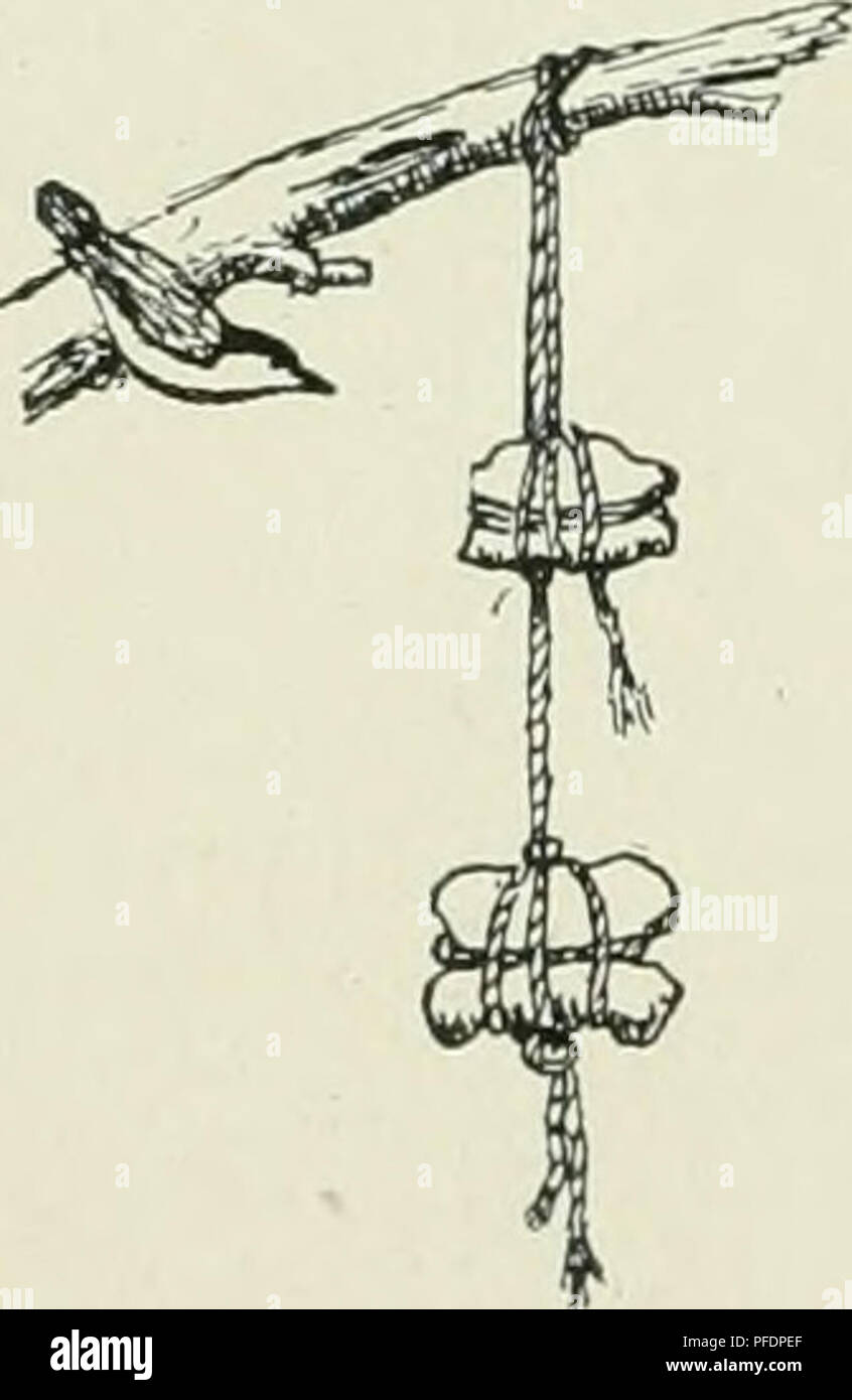 Abteilung Rundschreiben Die Landwirtschaft 20 Die Bretter Um