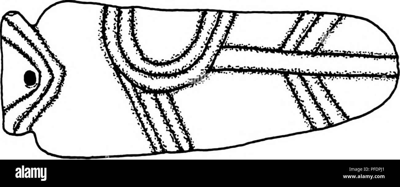 . Entvölkerung und Kulturwandel in den frühen historischen Zeitraum interior Südosten. Indianer Nordamerikas; Akkulturation; Indianer Nordamerikas. 142. c • i-re zu c, fO o. 3+ -> s-O Q;< c. Bitte beachten Sie, dass diese Bilder sind von der gescannten Seite Bilder, die digital für die Lesbarkeit verbessert haben mögen - Färbung und Aussehen dieser Abbildungen können nicht perfekt dem Original ähneln. extrahiert. Smith, Marvin T. Stockfoto