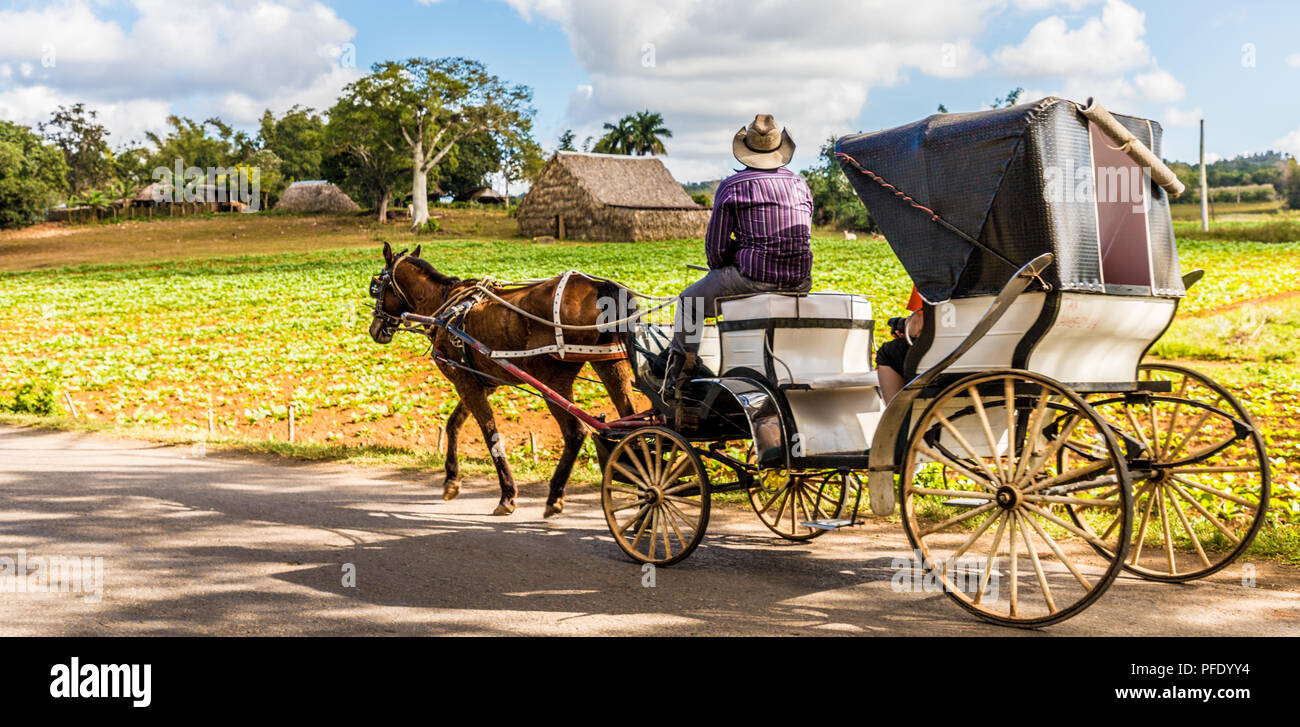 Eine typische Ansicht im Tal von Vinales in Kuba. Stockfoto