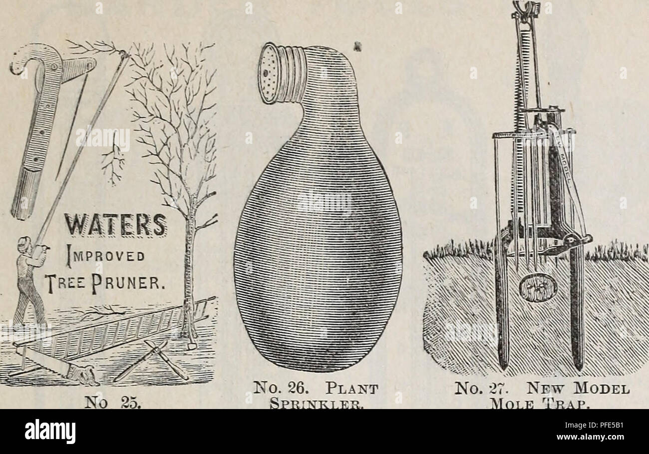 . Beschreibender Katalog der Gemüse, Blumen und Samen: Knollen, Wurzeln, Pflanzen, Werkzeuge. Gemüse Samen Kataloge; Gräser, Blumen Samen Samen Kataloge Kataloge; Gartengeräte und Zubehör Kataloge; kommerzielle Kataloge New York (State) New York. WEEBER DON. Garten WERKZEUGE UND VORAUSSETZUNGEN. 65 Gartengeräte und Requisiten, fortgesetzt. JG; SC0LLAY' 5 BULE Nr. 26. Werk Sprinklerschutz. Nr.-27. Neues Modell Maulwurf Falle.. Bitte beachten Sie, dass diese Bilder aus gescannten Seite Bilder, die digital haben für die Lesbarkeit verbessert - Färbung und Aussehen dieser Abbildungen können nicht p Stockfoto