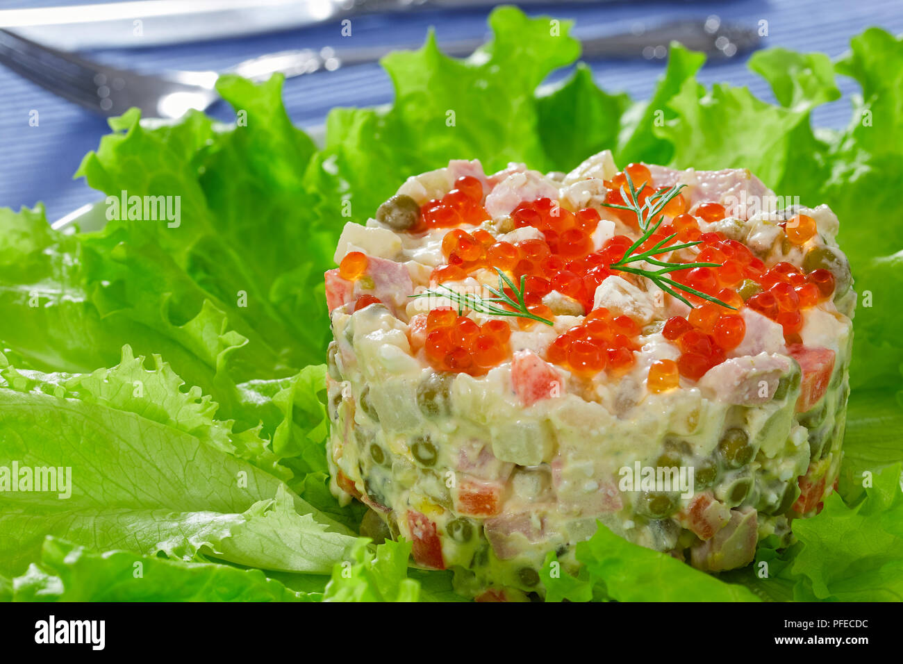 Festlicher salat mit essiggurken -Fotos und -Bildmaterial in hoher