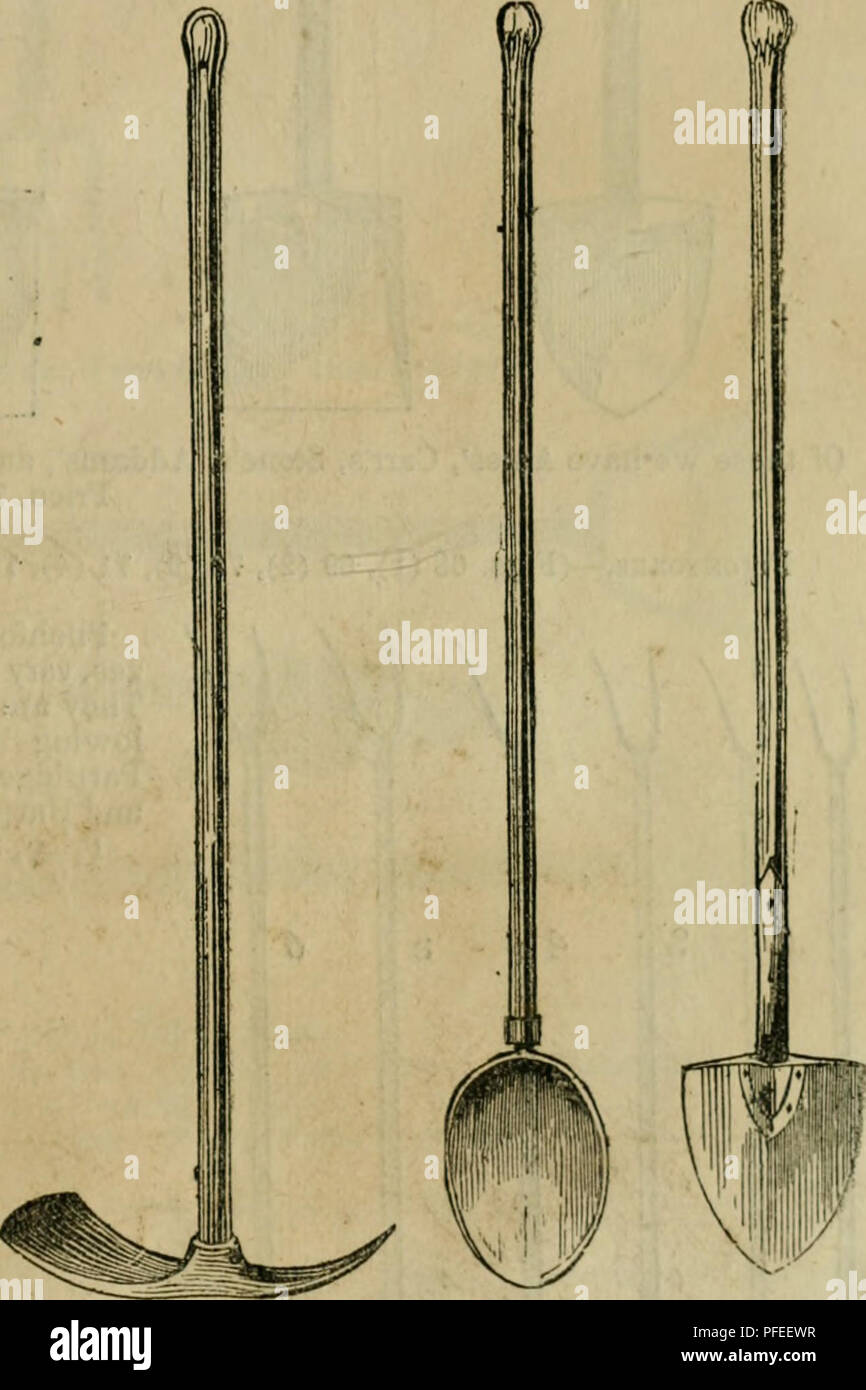 Beschreibender Katalog Der Gartnerischen Und Landwirtschaftlichen Geraten Und Werkzeugen Und Feld Und Garten Samen Mit Kurzer