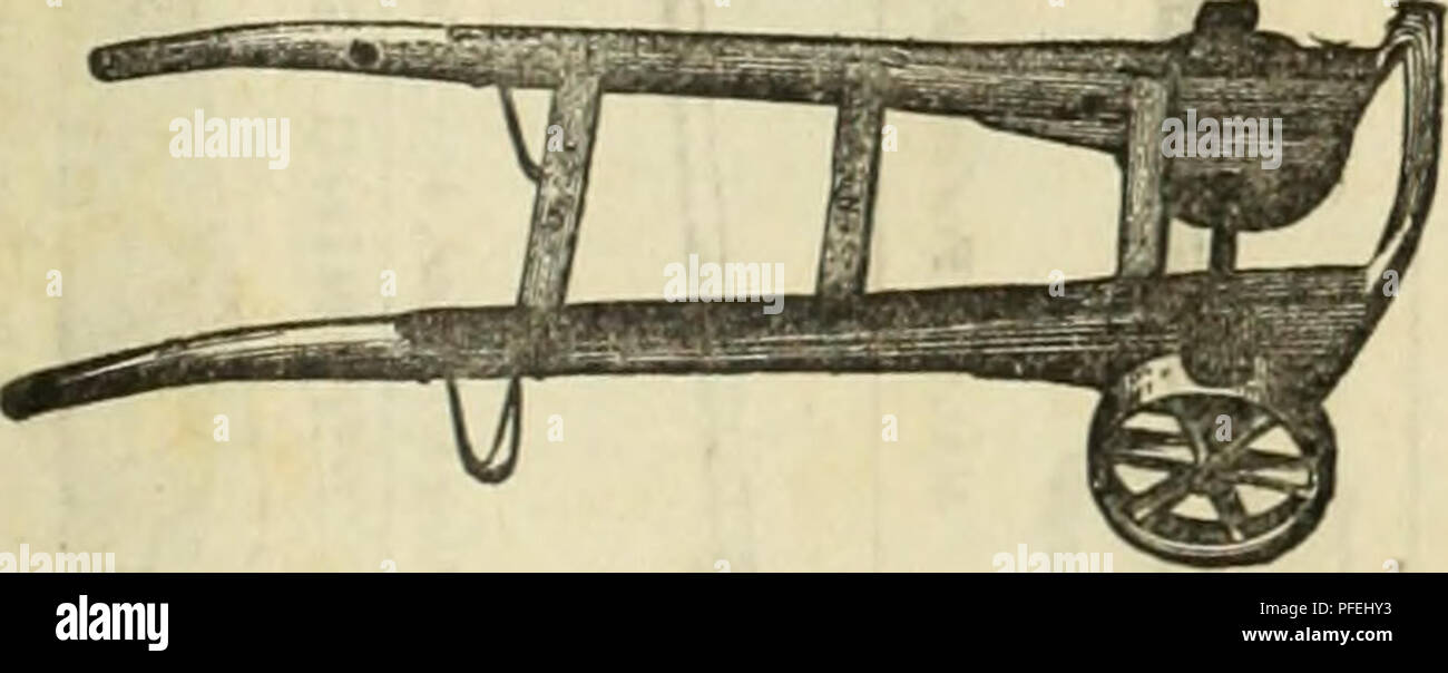 . Beschreibender Katalog der Samen: Garten, Feld, Blume, Düngemittel, &Amp; C., landwirtschaftliche und gartenbauliche implementiert. Blumen Samen Samen Kataloge Kataloge; Gemüse; Getreide Gräser Samen Samen Kataloge Kataloge; Obst; Gartengeräte und Zubehör Kataloge; kommerzielle Kataloge New York (State) New York. Preise. Nr. 1, Größe der Plattform, 3 ft. x 2 ft 10 $ 00 I Nr.4, Größe der Plattform, 3. 6 x 2 ft. 6 15 $ 00 "2" "3" 2" 2" 2. .. 12 00 "5", "3" 8" 2" 8 ... 18 00 "3", "3 "4 "2" 4. Stockfoto