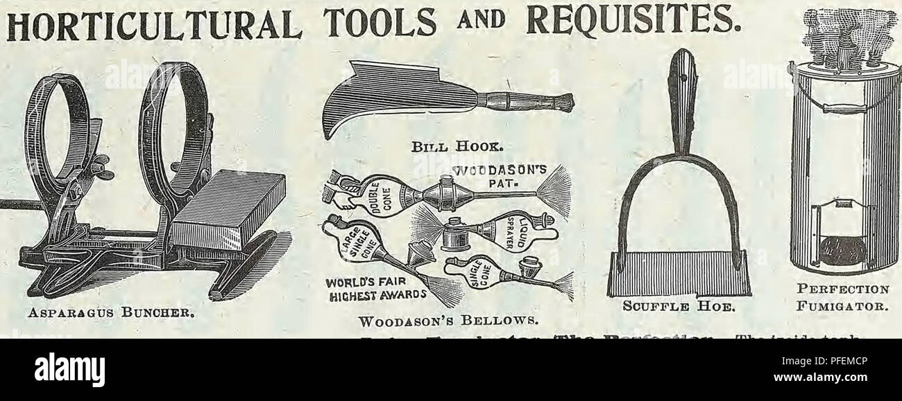 . Beschreibender Katalog der Gemüse, Blumen und Samen. Baumschulen (Gartenbau); Baumschulen; Samen; Glühlampen (Pflanzen); Gartenbau; Ausrüstungen und Zubehör; pflanzen; Weeber & Amp; Don. 70 WEEBER & Amp; DON. Garten WERKZEUGE UND VORAUSSETZUNGEN.. 12 3 4 5 6 7 8 Eacli Tinte, ITeat Ittdellble's. Für Zink Etiketten, pro Flasche 0 $ 25 Messern BUdLclinj; "Feinste importiert, Nr. 1, 1,50 $ 2, $ 3, $ 1,50; 1,50; 1,50; 4, $ 5, $ 1,35; 6..... 1 50 Messer, Budains: * 2 klingen; Messing beendet 2 50* • IPruninjff, feinste importiert, Nr. 7, $ 1,40; 8, 25; 1 $ 9, $ 10, $ 1,50; 1,40; 1,40; 11, $ 12, $ 13, $ 2,00; 1,50; 14 1 50 Messer, Stockfoto