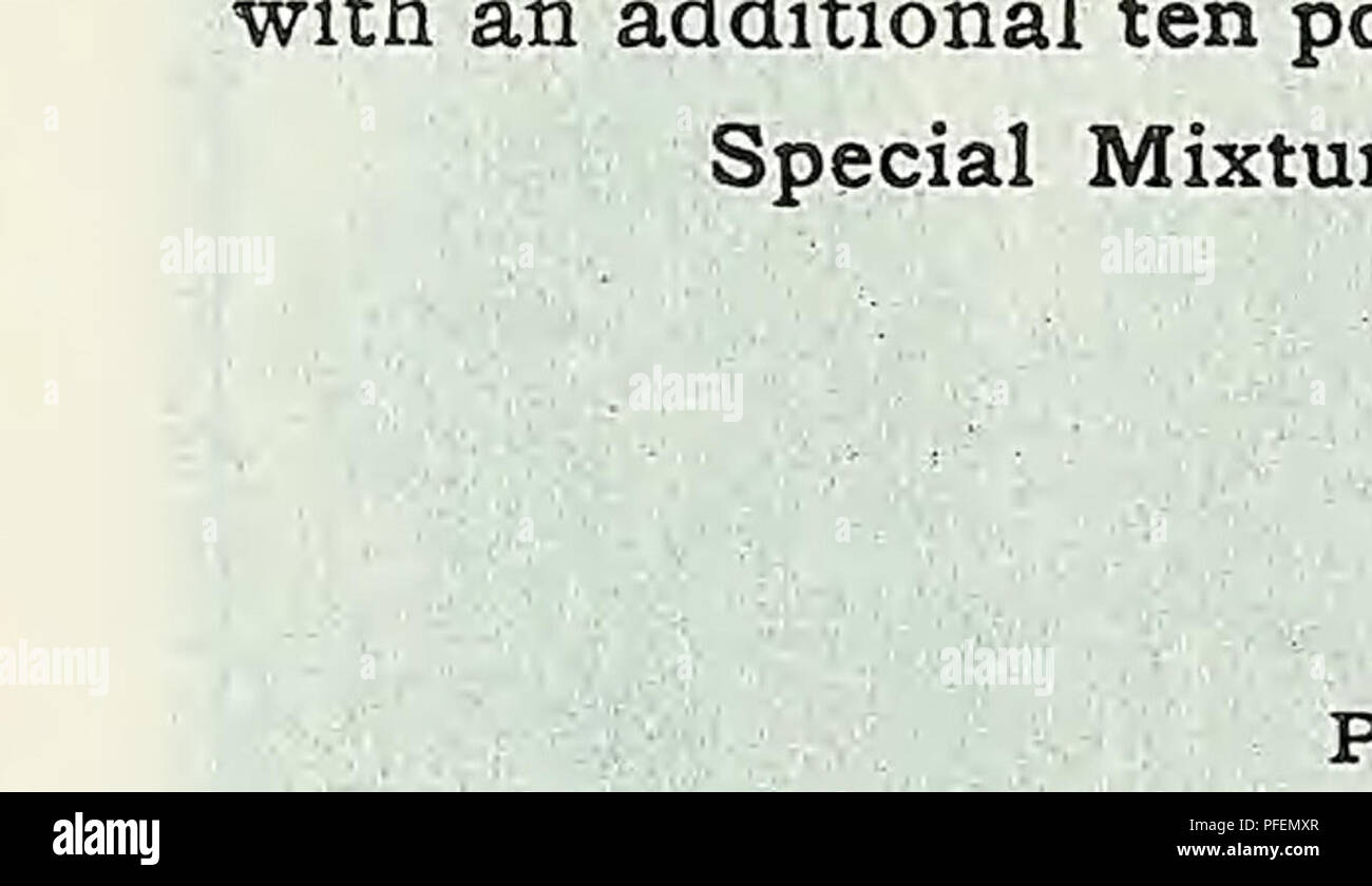 . Beschreibender Katalog der Gemüse, Blumen und Samen. Baumschulen (Gartenbau); Baumschulen; Samen; Glühlampen (Pflanzen); Gartenbau; Ausrüstungen und Zubehör; pflanzen; Weeber & Amp; Don. Katalog DER KNOLLEN, WURZELN UND SAMEN 27 Gartenbau Werkzeuge und Verbrauchsmaterialien Körbe, rustikalen Hängenden S-Zoll Durchmesser 1 $ 00 je 10-Zoll Durchmesser 1 25 je 12-Zoll Durchmesser. 1 jeweils 50 Körbe, Draht hängen 8-Zoll lackierte 10-Zoll lackiert lackierte 12-Zoll 15-Zoll 18-Zoll lackiert lackiert 30 je 35 je 40 je 50 je 75 je. Der weltweit höchsten Awards '20-Zoll lackiert 1 00 Woodason's Pulver Faltenbalg kann er Stockfoto