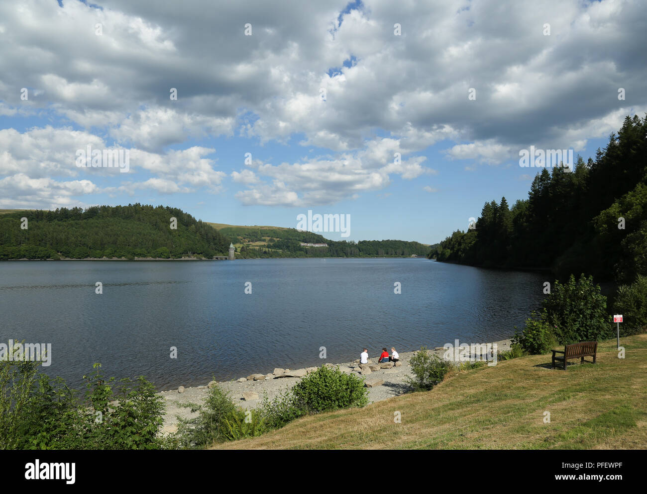 Lake Vyrnwy Stockfoto