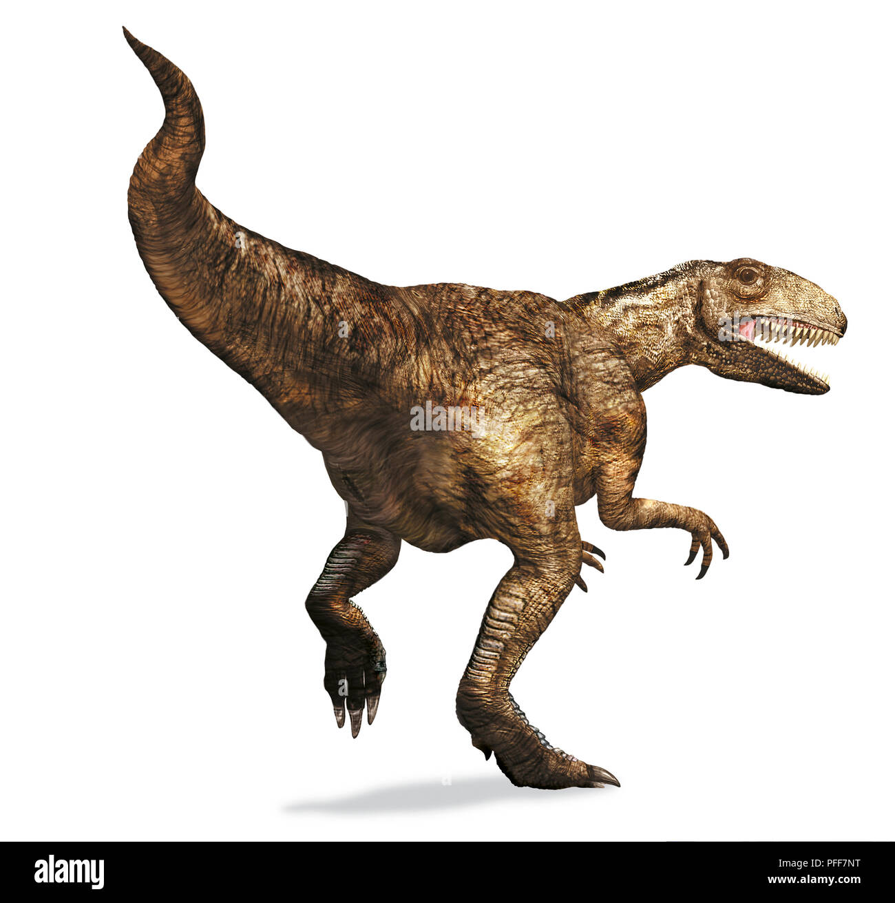 Megalosaurus, Dinosaurier Stockfoto