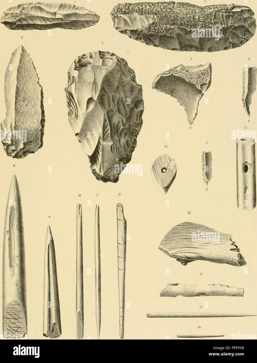 . Denkschriften der Kaiserlichen Akademie, Christian, Mathematisch-Naturwissenschaftliche Classe. Diluvial Woldricll: Rest. IGudenushöhle Faunen usw.). Taf. in. Lilh-Ansi. Th. BannwartH, Denkschriften lVleH, d. Kais. Akad. d. Wiss. Math.-naturw. Ctasse, Bd. 1, Bl. LX.. Bitte beachten Sie, dass diese Bilder sind von der gescannten Seite Bilder, die digital für die Lesbarkeit verbessert haben mögen - Färbung und Aussehen dieser Abbildungen können nicht perfekt dem Original ähneln. extrahiert. Kaiserl. Akademie, Christian in Wien. Mathematisch-Naturwissenschaftliche Klasse. Wien: Aus der Kaise Stockfoto