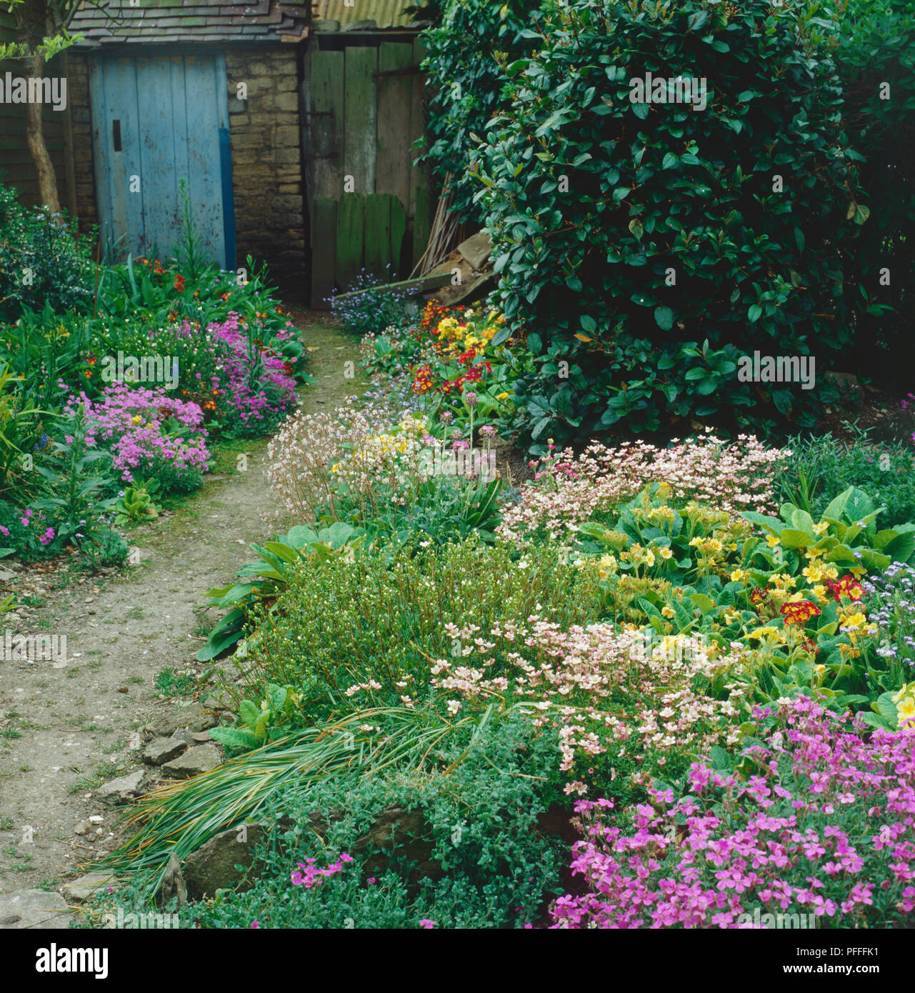 Cottage Garden, weg mit Rot, Gelb, Violett und Weiß Blumen gesäumt, attraktive ungepflegten Blumenbeete, Sträucher und Türen der alten Nebengebäude im Hintergrund. Stockfoto