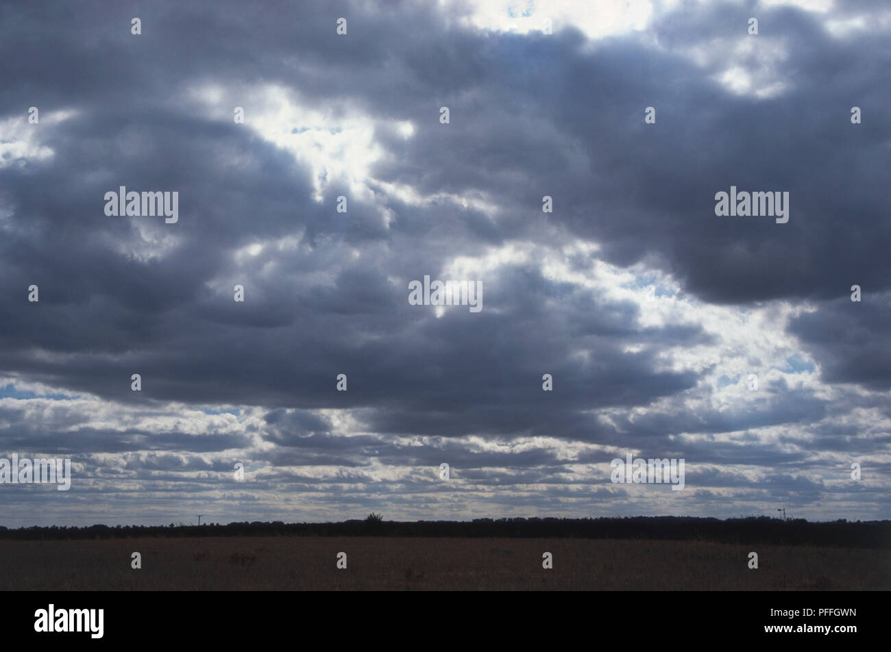 Stratocumulus, hohe Wolken von großen dunklen geprägt, abgerundete, Massen, in altostratus Abdeckung gruppiert, verdunkelnden Himmel über Weizenfelder, Sonnenlicht leuchtenden Wolke Kanten. Stockfoto