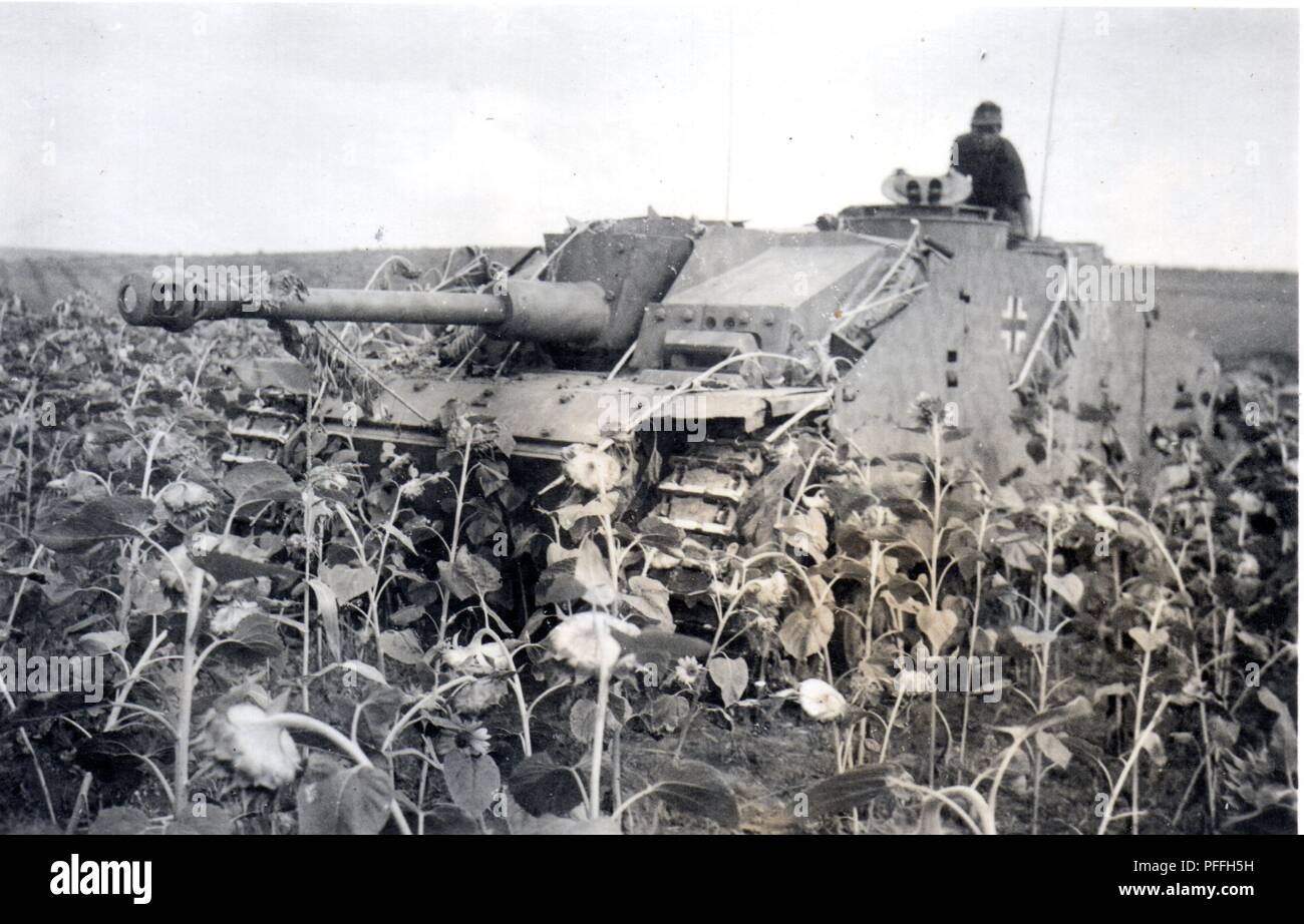 Deutsche schwere Sturmgeschütz Panzer 1944. Diese sturmgeschütz ist zu einem Waffen-SS Panzer Division attatched Stockfoto