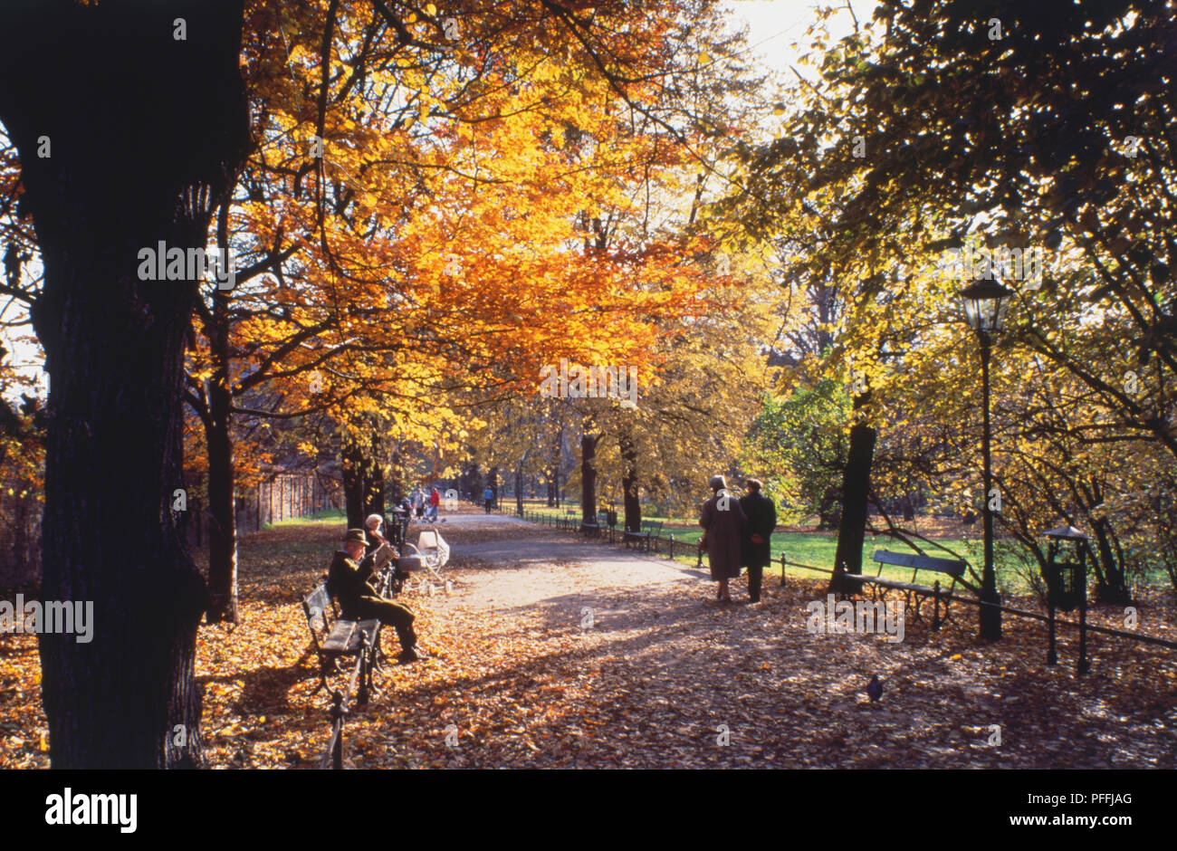 Polen, Krakau, die Planty, Leute sitzen auf Bänken und einem Bummel entlang Parklandschaft weg, mit Bäume werfen ihre Herbstliche Blätter flankiert. Stockfoto