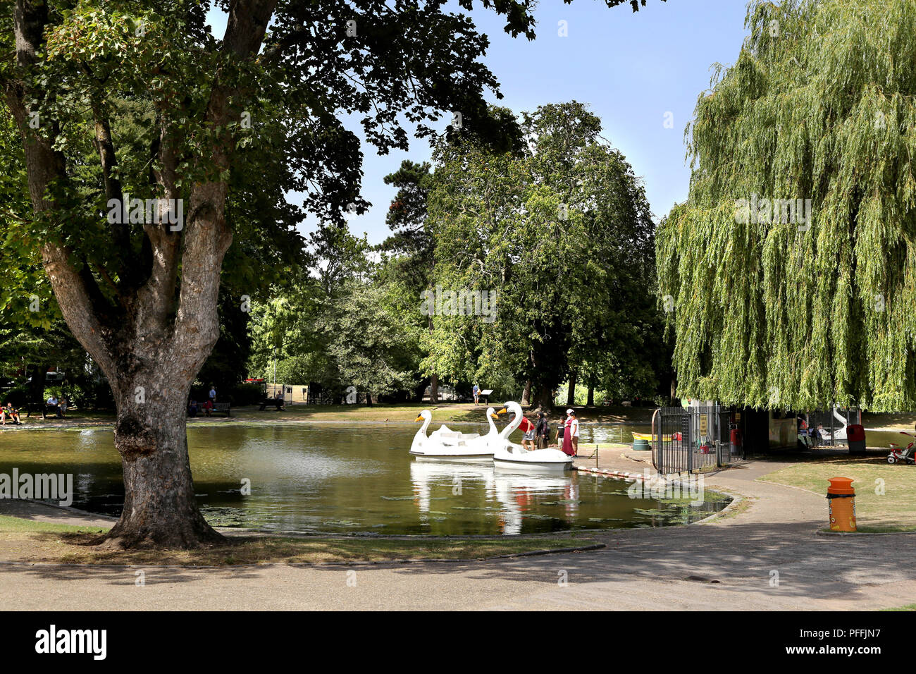 Das BOOTFAHREN TEICH in Colchester Castle Park Stockfoto