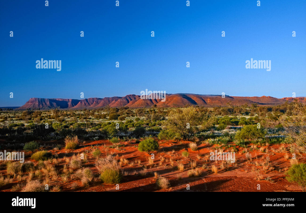 Australien George Gill Range s Kings Canyon - Kings Canyon, Northern Territory, Stockfoto