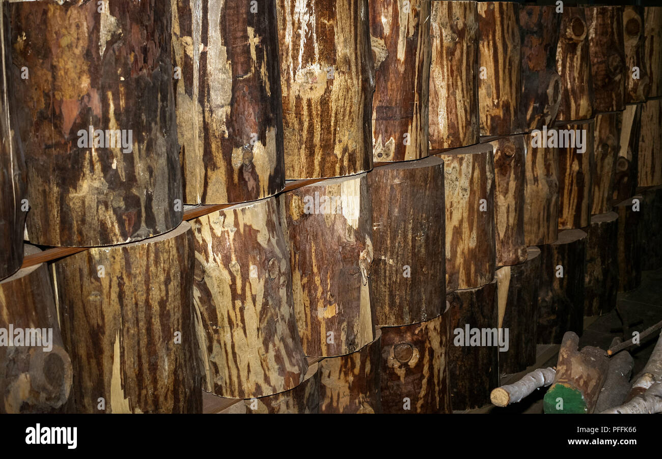 Zeile aus Holz Baumstümpfe, gestapelt, um zu trocknen, auf holz fabrik. Selektive konzentrieren. Stockfoto