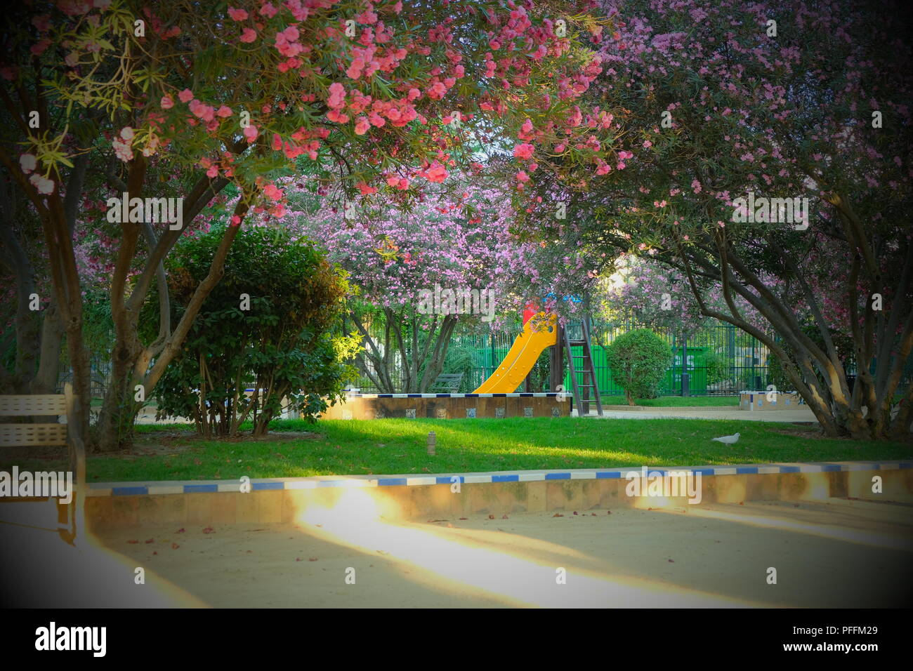 Im Park unter blühenden Bäumen schieben Stockfoto