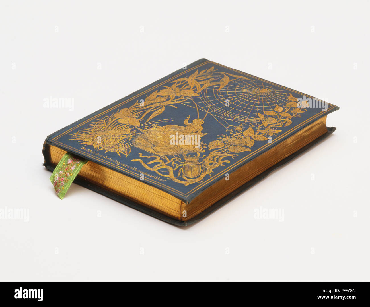 Altes Buch mit Blau Gold - gravierte Leder, Gold umrandet Seiten und Ribbon Page-mark, Vorderansicht. Stockfoto