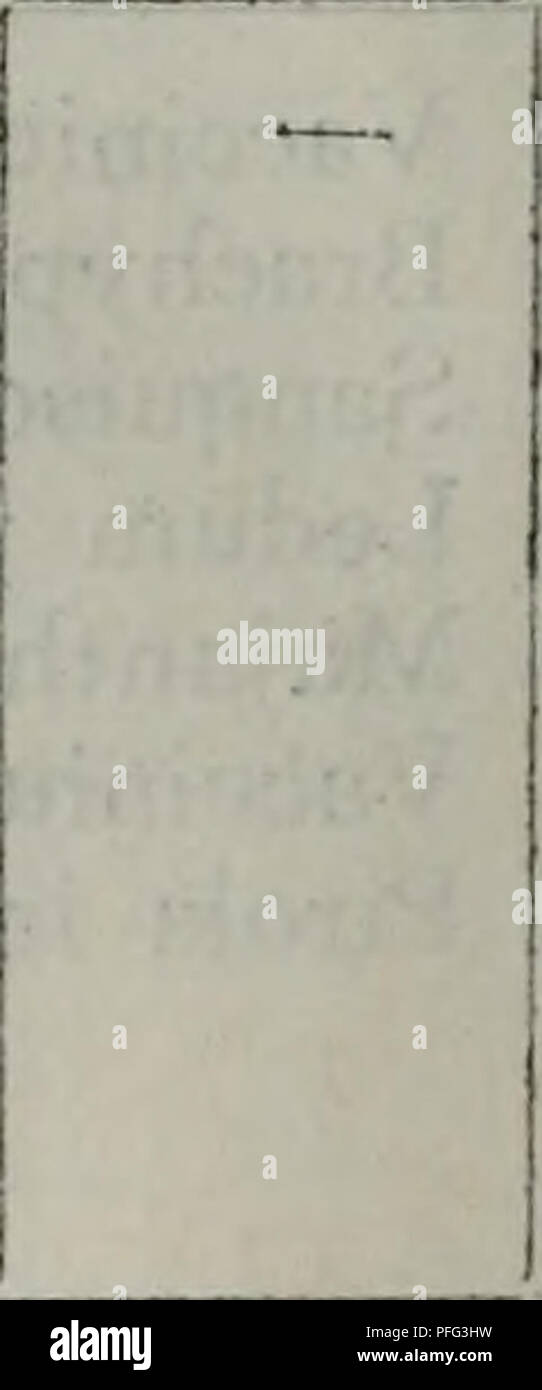 Da Xing ein Ling sen Lin Zi Yuan diao Cha bao Gao. Botanik. AeIå¹³åé "m ae å° Å¹³åç" gibt es "Ä½ç çå ¯ åº¦ 5 IO/Luigi Sie 86 22.3/21.6! 1/0 .78 10/1 163 23.4/24.0 1/0 .63 9/1 1 G94 | 20.0/33.1 | 1/0 .69 IO/IcaB 73 18 7/19,5 1/0 .96 9/1 1C 80 18 9/20.&amp; 1/0 .68 Jl B Oc å¹¼. ae¨¹ 9 6 Ji 4800/ra (1 - 10) 6 Ji 5100/ra (1 - 10) 1000//ra (1 - 10) Oc6a200/ra (1 - 10) 6 jÂ" 2300/ra (1 - 10) B 6a 1100/ra (1 - 10) Jl 6 fl Sie &gt;&gt; 00/ra (1 - 10) B6 JT500/ra (j - 10) R 6a 4700/ra (1 - 10) BA 0,1 100/ia (1 - 10) Er 6. i100/ra (1 - 10) n 6 Ji900/ra (1 - 10) B 6.1 500/ra (1 - 10) C 6.1 400/ra (1 - 10) Oc 6.1 2200/ra (1 - 10) 305/&amp; 82.0/1 à 86 271/1? Stockfoto