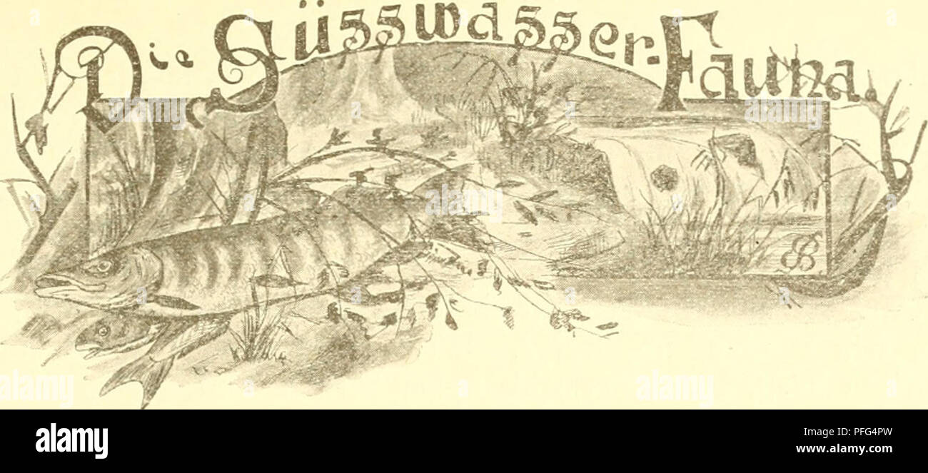 Diese Arbeit über Süßwasseraquarien befasst sich mit der Geschichte, dem Aufbau und der Pflege von Aquarien und konzentriert sich auf die Pflanzen und Tiere, die in Süßwasserumgebungen gedeihen. Sie enthält Leitlinien zur Schaffung ausgewogener aquatischer Ökosysteme und zur Erhaltung gesunder Lebensräume für Süßwasserarten. Stockfoto