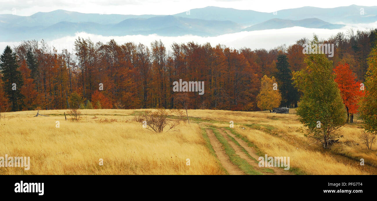 Herbst Landschaft in der rumänischen Landschaft Stockfoto