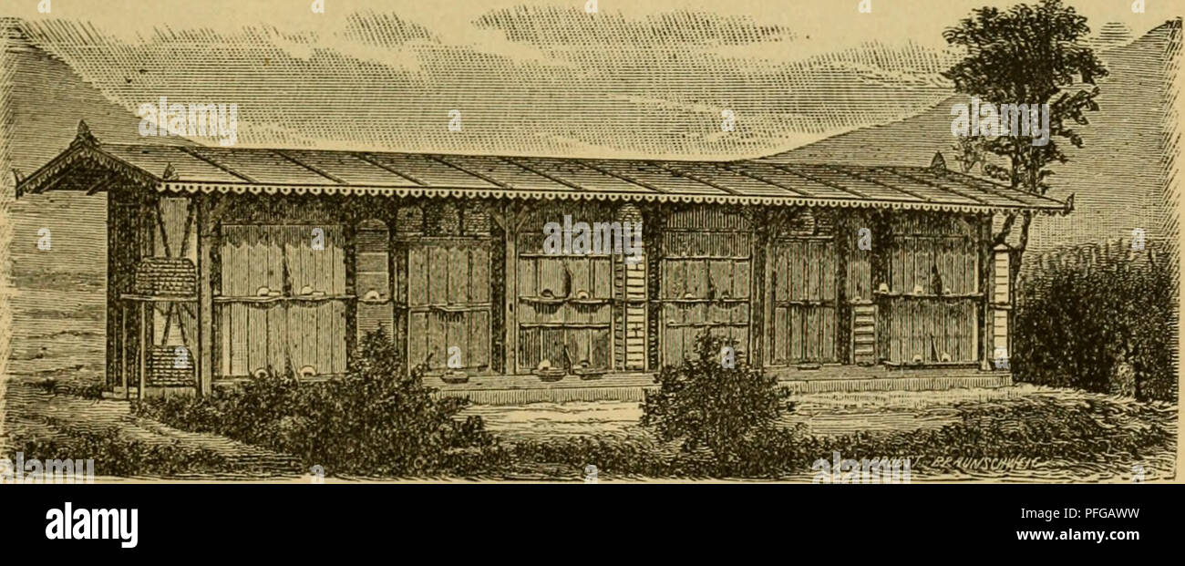 . Das Buch von der Biene. Bienen; Biene Kultur. 33 Sinfadde ienen^Ã¤Ujer. 297 Ãber berfetben, joiÃ¼te in ber gegenÃ¼berliegenben SBanb finb O^ enfter (F) notroenbig, bamit E § ni (f) t bin nÃ¶tigen 2 xÃ¤) t Fe{) (t. Â© ollte nur Ã¶ auf einer Â© eite 2 Id) t gegeben Jrerben fÃ¶nnen, Jo finb genfter in Querlage Ã¼ber ben beiben Ã^ lenreiljen anjubringen, wie beim @erftungfcf) en^ aoillon. Â© ic er [te 33 anf mu^40 - 45 cm, bie smeite 1,50 - 1,60 m Ã¼ber bem iSoben jein. S) ie Beiben 3 jã¤tteIpfo [10 v, w und Ben S5 Ã¤n!en ben nÃ¶tigen $ alt. jDurd) ein Ã¶ oder bem^ Srett aufgeftetlte foften W^o^ rontjeite Wirb bie in gwei H Stockfoto