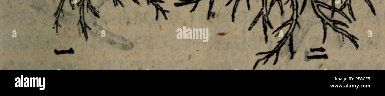 Txa Stockfotos Und Bilder Kaufen Alamy