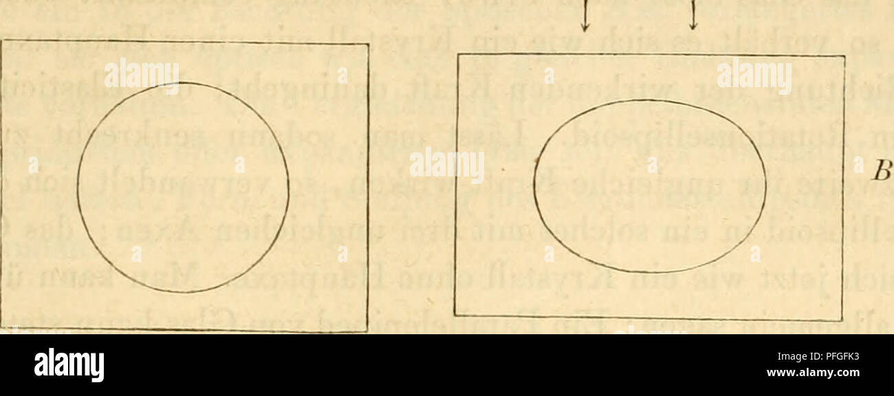 . Das Mikroskop, Theorie und Anwendung desselben. Mikroskope. Verhalten krystallähnlicher anisotroper Körper. 309 sion in zwei rechtwinklig aufeinander stehenden Kichtungen statt Abb. Ich 02B Vgl. mit ein), so behält nur der senkrecht zur papierebene. l t Abb. 161.. Bitte beachten Sie, dass diese Bilder sind von der gescannten Seite Bilder, die digital für die Lesbarkeit verbessert haben mögen - Färbung und Aussehen dieser Abbildungen können nicht perfekt dem Original ähneln. extrahiert. Nägeli, Carl, 1817-1867; Schwendener, S. (Simon), 1829-1919. Leipsig: W. Engelmann Stockfoto