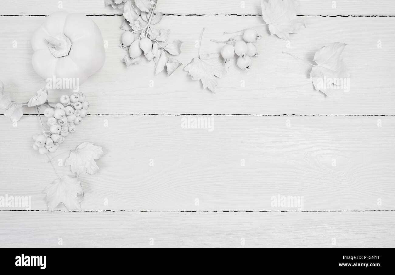 Mockup Weiß Kürbis, Beeren und Blätter auf einer hölzernen Herbst Hintergrund. Grußkarte zum Erntedankfest im rustikalen Stil mit Platz für Ihren Text. Flach. Ansicht von oben Stockfoto