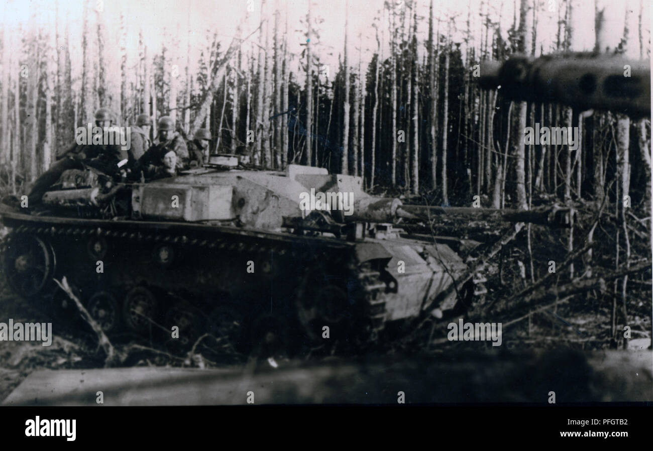 Deutsche Truppen und Sturmgeschütz auf der Leningrader Front 1943 Stockfoto