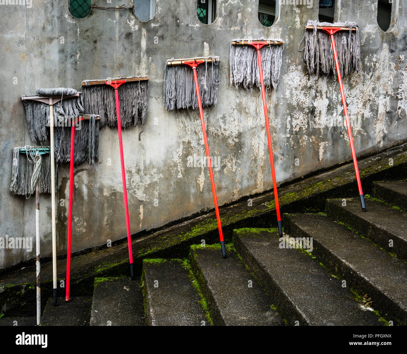 Mehrere mops gegen eine schmutzige alte Mauer: frühjahrsputz Konzept Stockfoto