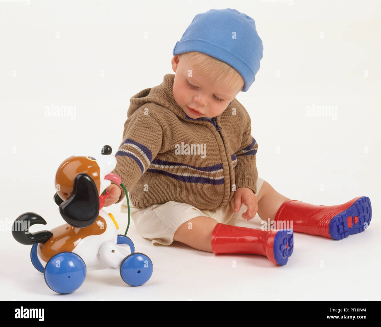 Baby boy in blauen Hut, brauner Wolle hooded Cardigan, Shorts, roten Gummistiefel, sitzend mit einer Hand auf Spielzeug aus Kunststoff braunen und weißen Hund auf Blue Wheels mit grünen Leine. Stockfoto