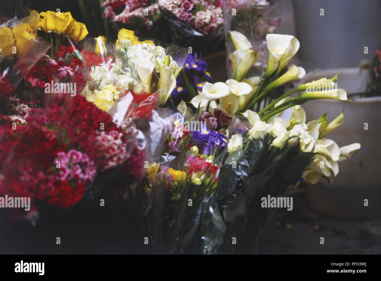 Frische Blumen auf dem Blumenmarkt, Nahaufnahme Stockfoto