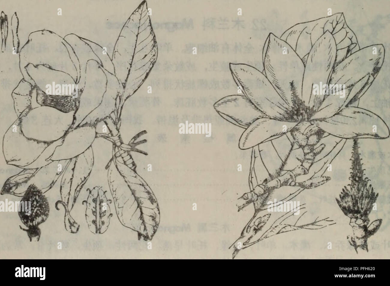 Lo Wu Stockfotos Und Bilder Kaufen Alamy