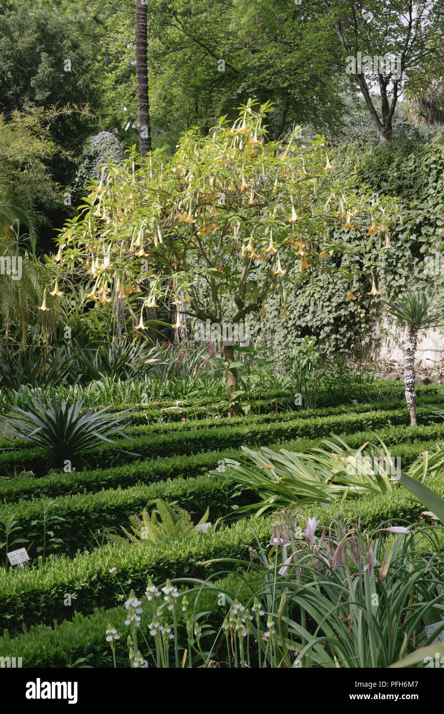 Portugal Lissabon Botanischer Garten Stockfotografie Alamy