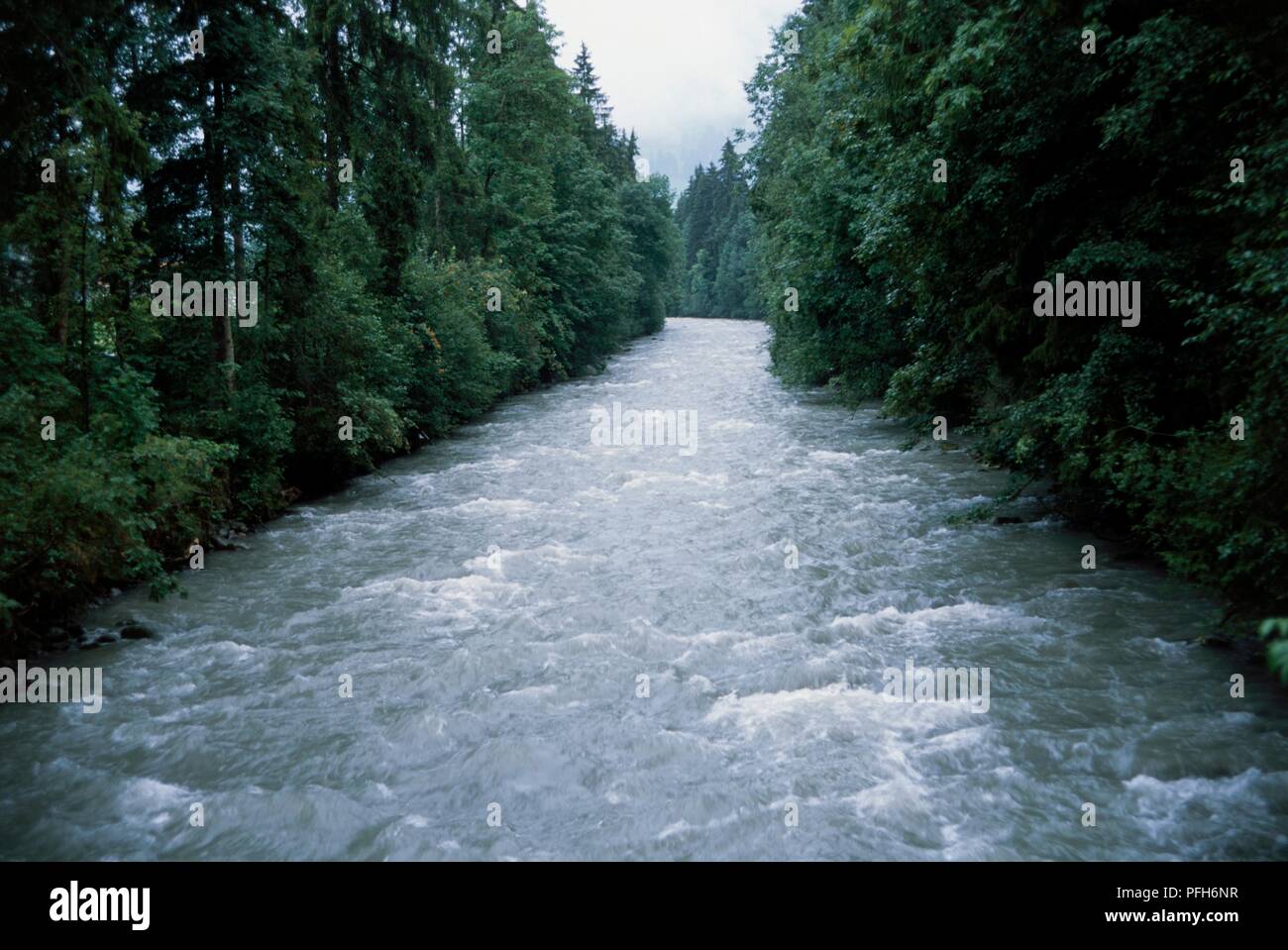Schweiz, Kanton Bern, Saane River in der Nähe von Gstaad Stockfoto