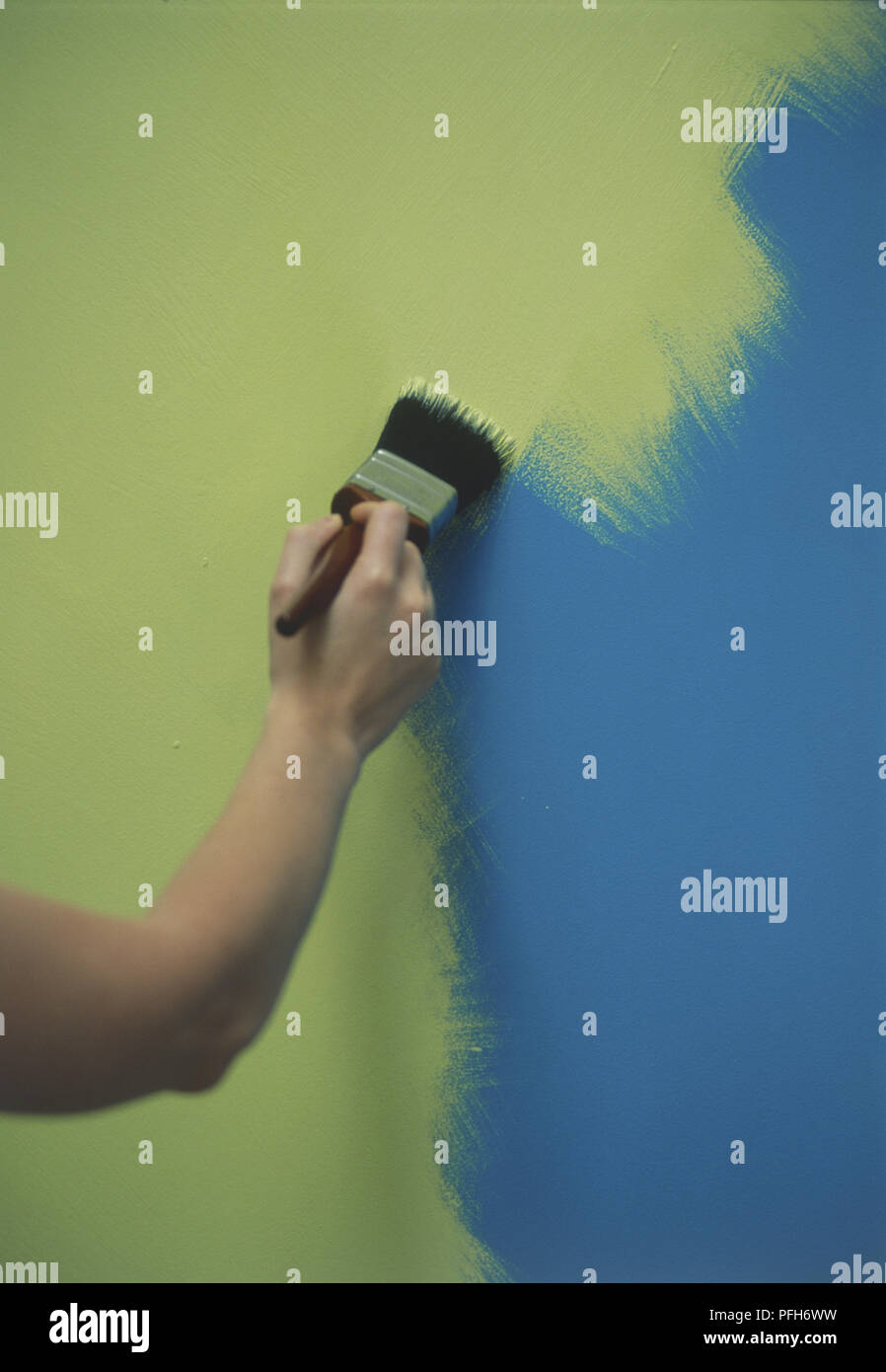 Hand der Person Malerei blaue Wand mit einem Mantel von Lime Green, Seitenansicht Stockfoto