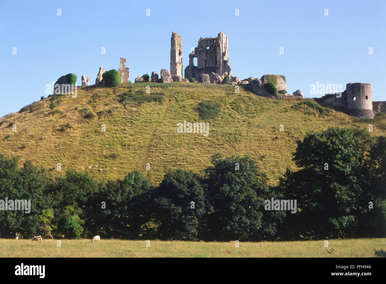 Grossbritannien, England, Dorset, Ruinen von Corfe Castle auf der Spitze eines Hügels, dating hauptsächlich aus Zeiten der Normannen. Stockfoto