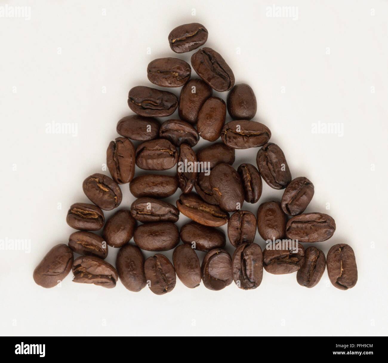 Alte Java Bohnen Stockfoto