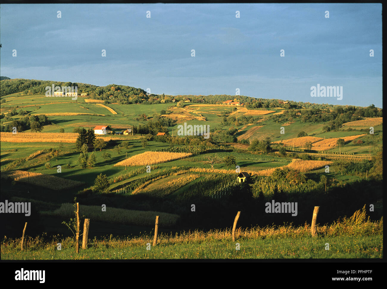 Kroatien, nördlichen Grafschaften, Belec, kultivierte Landschaft und Bauernhöfe im Dorf zwischen Hügeln von Zagorje Stockfoto